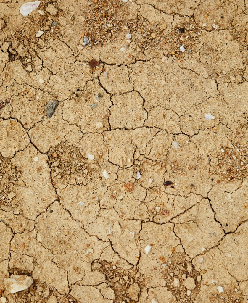 dry surface with cracks and stones