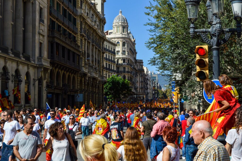 photo of people rallying in the street